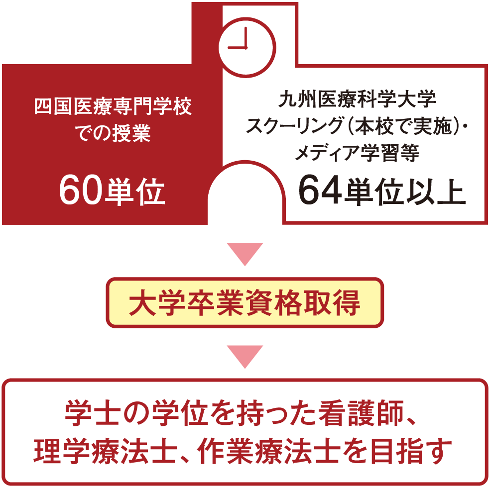 学士の学位を持った看護師、理学療法士、作業療法士を目指す